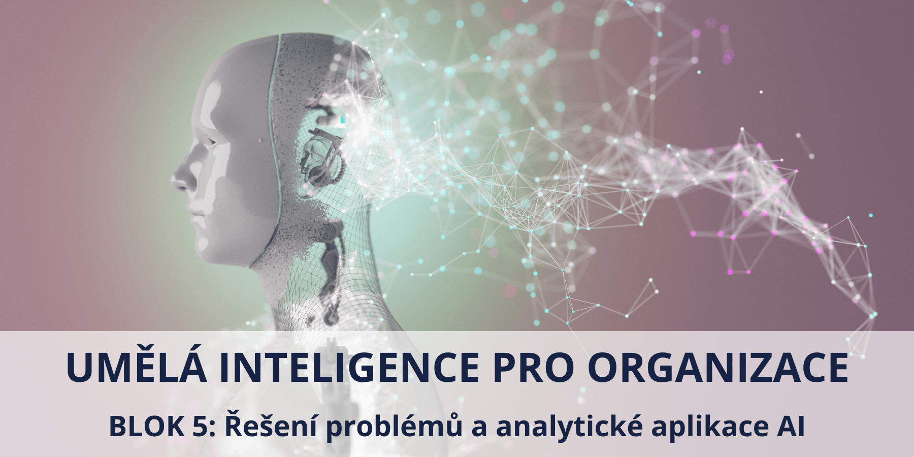 Řešení problémů a analytické aplikace AI